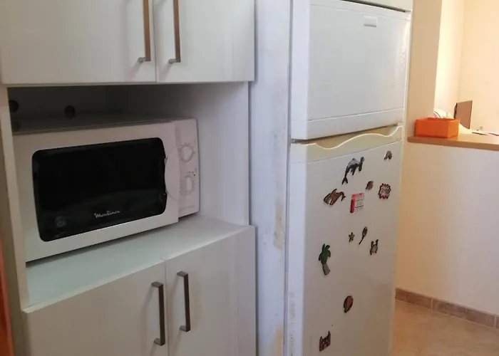 Lirios Playa De Xeraco