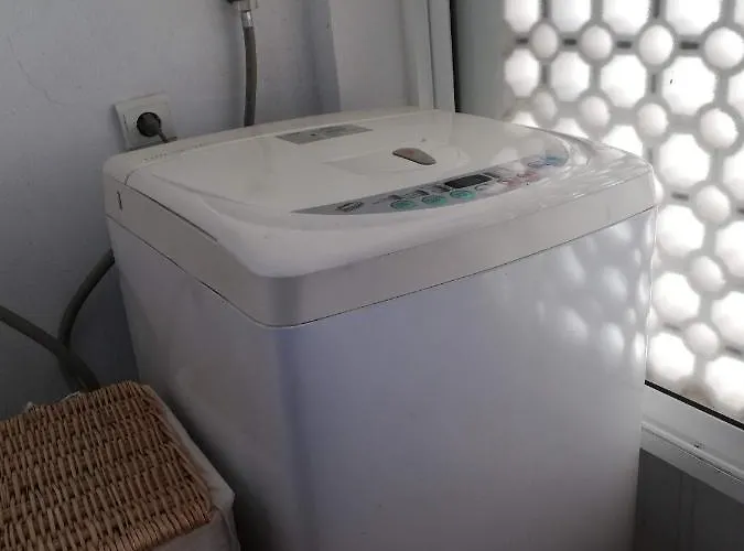 Lirios Playa De Xeraco