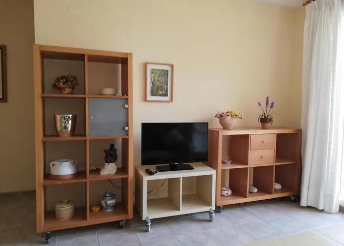 Lirios Playa De Xeraco